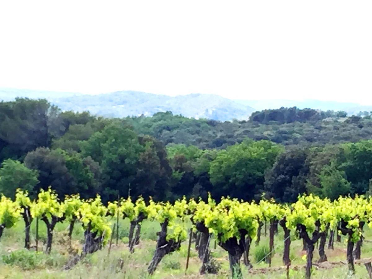 Le Clos Soleilhan Saint-Gervais  Eksteriør billede